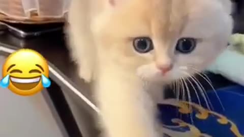 The Most Adorable “Oops!” Moments Ever