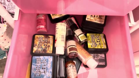 Unlocking the Mystery: What's Inside My Sorting Case!