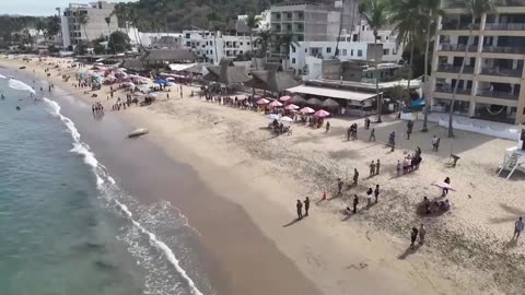 Elephant seal visits Mexican beach, surprises visitors