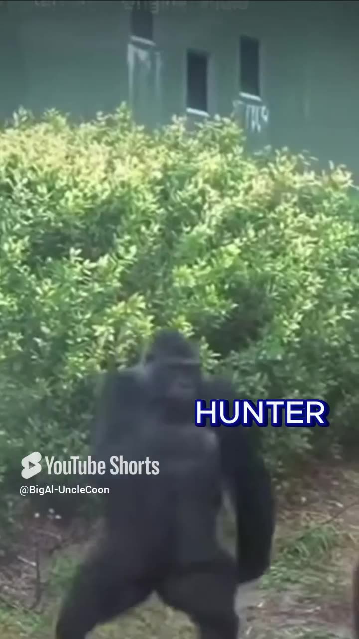 Hunter & Cee Dee & Jerome’s Heated Debate | Hunter Walked Out of the Meeting | Big Al - UncleCoon