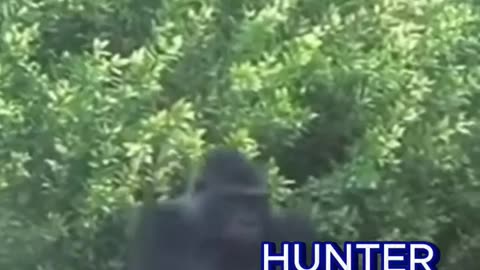Hunter & Cee Dee & Jerome’s Heated Debate | Hunter Walked Out of the Meeting | Big Al - UncleCoon