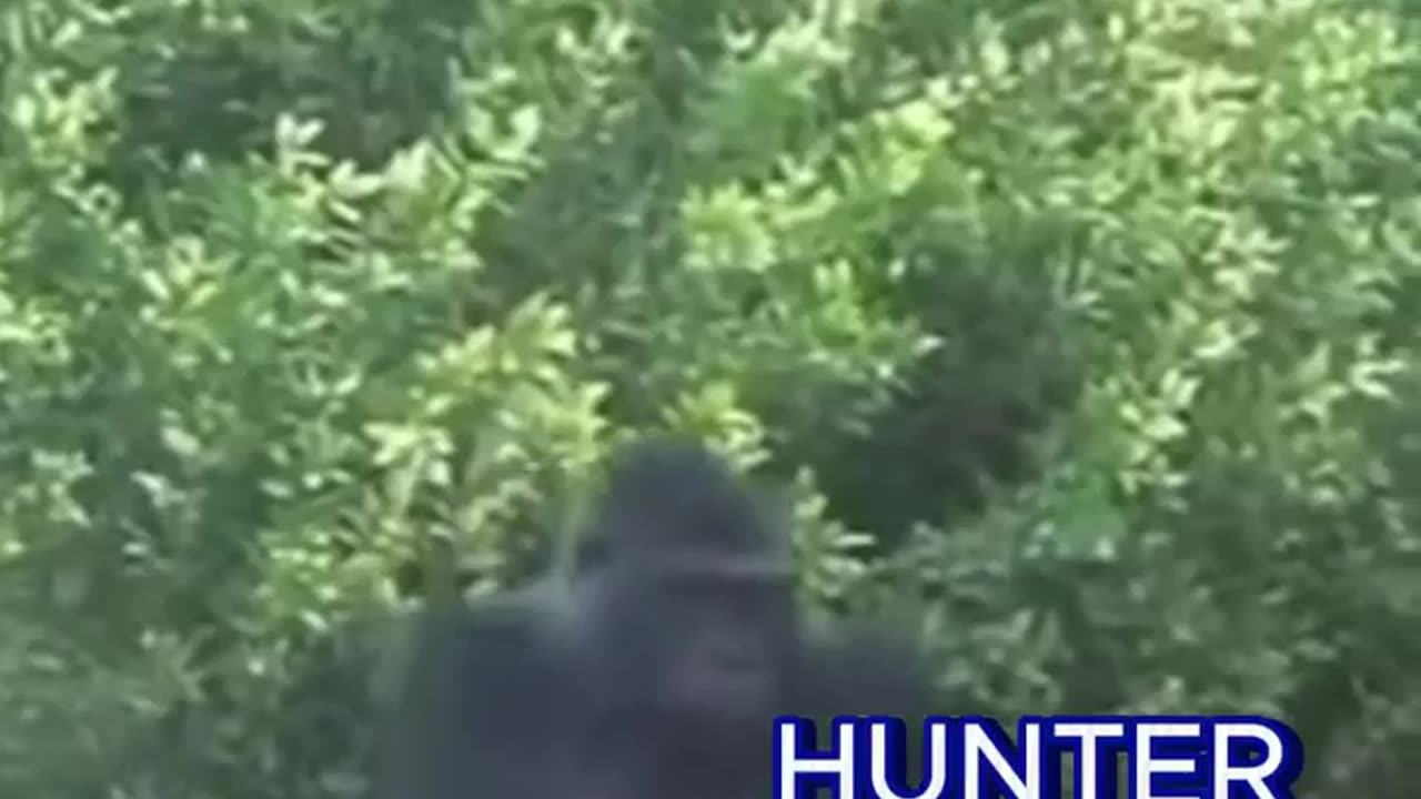 Hunter & Cee Dee & Jerome’s Heated Debate | Hunter Walked Out of the Meeting | Big Al - UncleCoon