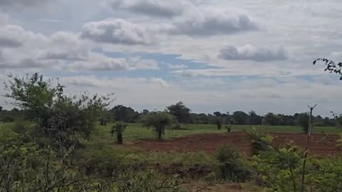 💥🎯 Myanmar War | Southern YSO and PDF Mortar Attack on Pakkoku Airport | RCF