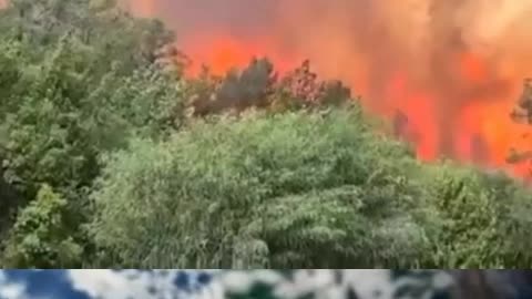 IZRAEL V PLAMENECH 30.4.2025