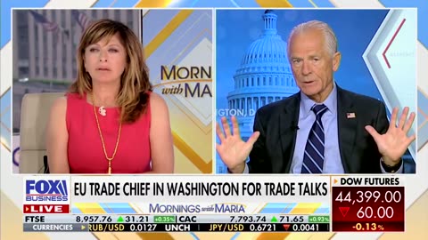 Senior Counselor Peter Navarro on trade ⚡ The deficit with Europe is huge