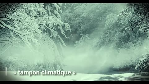 Le VORTEX POLAIRE s'effondre et une NOUVELLE ÈRE GLACIAIRE approche