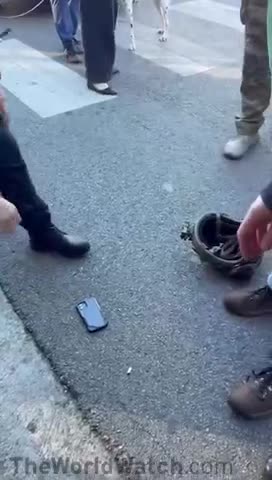 Total Denial and Horrified Disbelief of these Librats being Arrested is Comical.