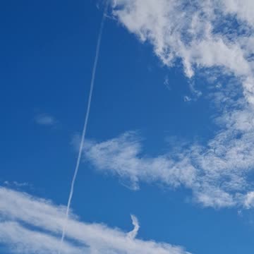 GOV'T SHUTDOWN 🤪☠️