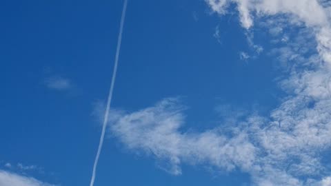 GOV'T SHUTDOWN 🤪☠️