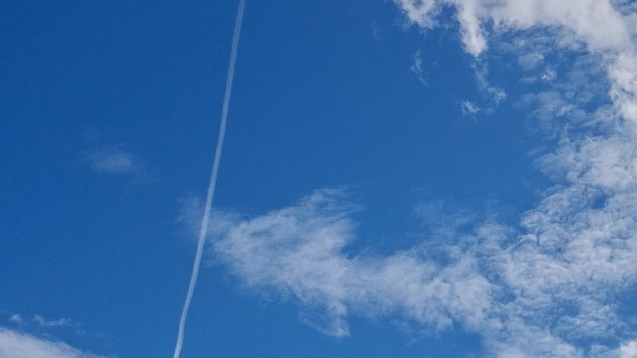 GOV'T SHUTDOWN 🤪☠️