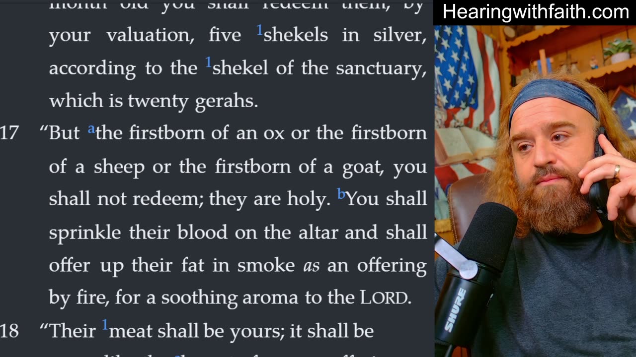 Numbers 18: Priests, Duties, and God’s Provision