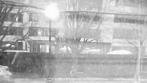 Arlington Va