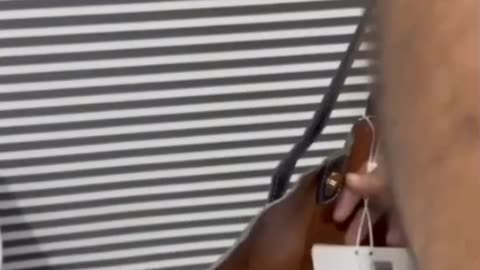 MEGA Ladies Handbags & Shoes Collection 2026 | Designer | Fashionholic New Arrivals