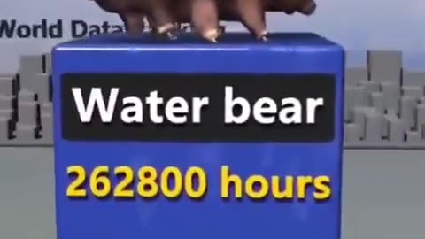 Who sleep the longest?