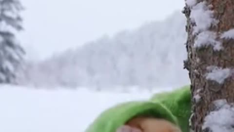 Frog Kitty Hiding... You Won't See This Coming 🐸#cat #cute #cats #love #winter