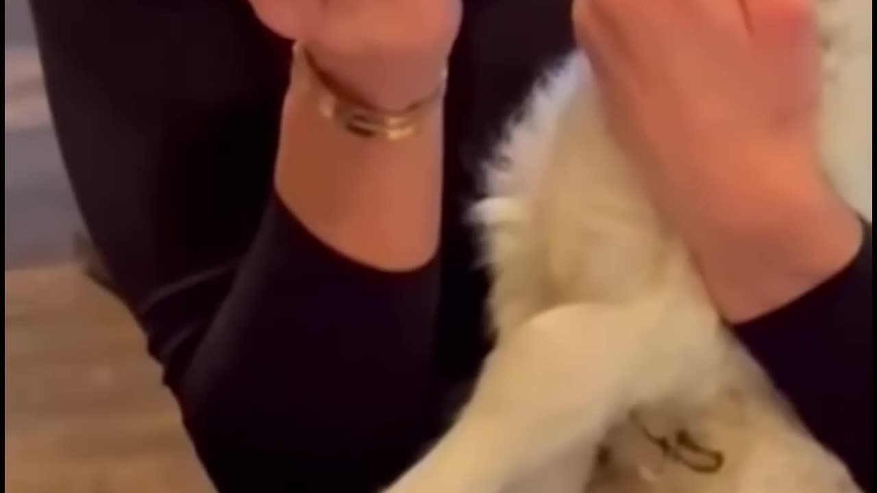 This family rescued a lamb in distress and then this happened.