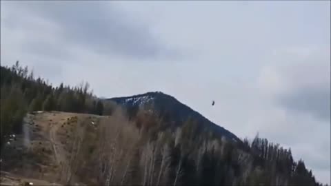 Une mystérieuse « entité géante » filmée au sommet d'une montagne en Colombie-Britannique, au Canada