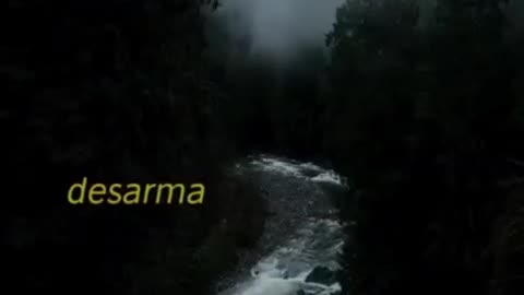ssdd