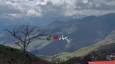 Beautiful talesh