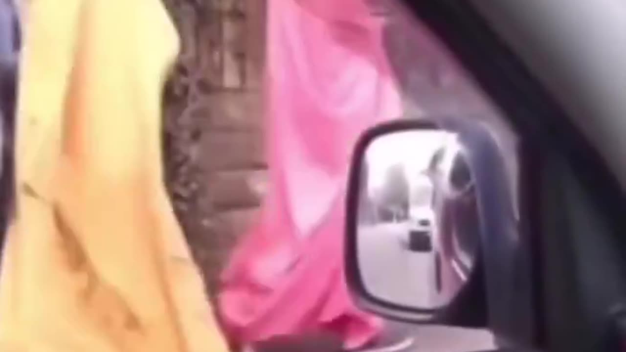 Laugh of the day! 🤣