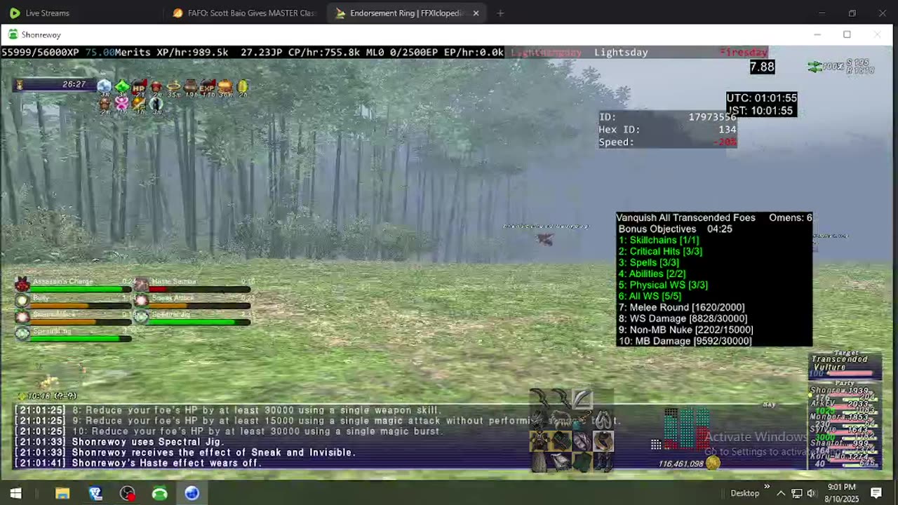 Playing Final Fantasy XI Online