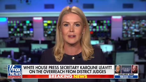 Karoline Leavitt: National Security Decisions Don't Belong To District Judges