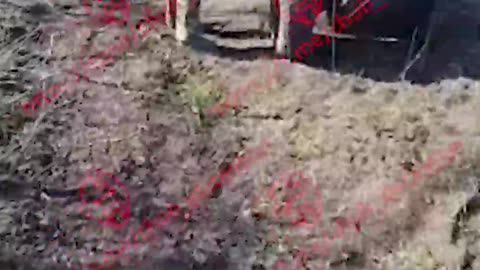 Ukraine war combat /related footage 11/16/2025