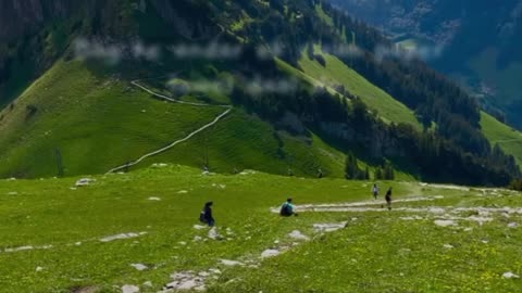 Pudina Fresh Rakhne Ka Hack