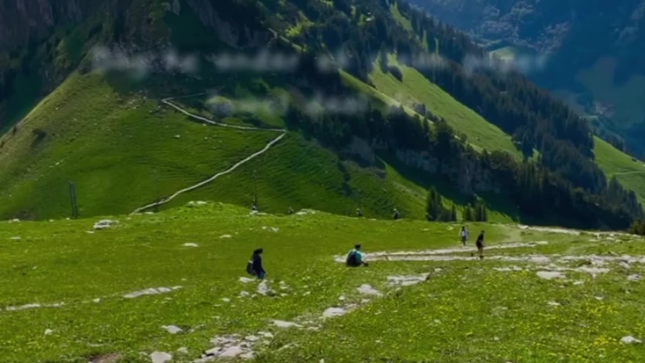 Pudina Fresh Rakhne Ka Hack