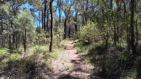Mundlimup Trail Jarrahdale Western Australia