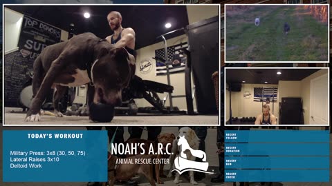 LBL Session w/Hank-a-Tank [Week 19] - Boulder Shoulders // Animal Rescue Stream :)