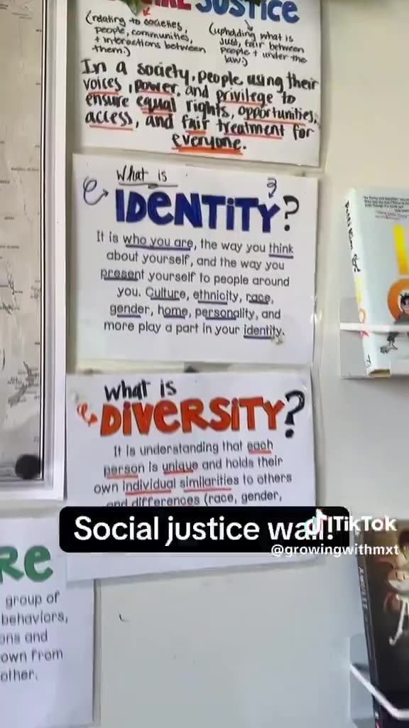 Transgender nonbinary teacher shows off lgbtq pride propaganda all over her classroom