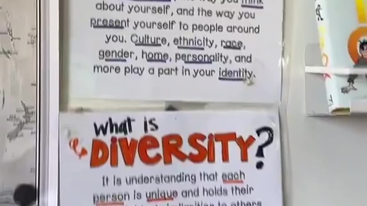 Transgender nonbinary teacher shows off lgbtq pride propaganda all over her classroom