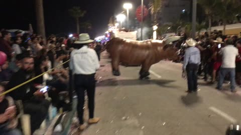 2019 Carnaval Parade (Sunday) (Mazatlán, Sinaloa, Mexico) 23