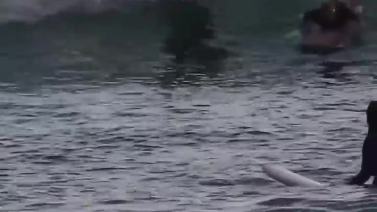 The_end_😂😂😂_#viral_#shorts_#funny_#fails_#laughfaces
