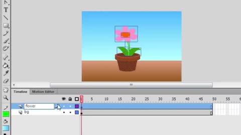 Adobe Flash Basics