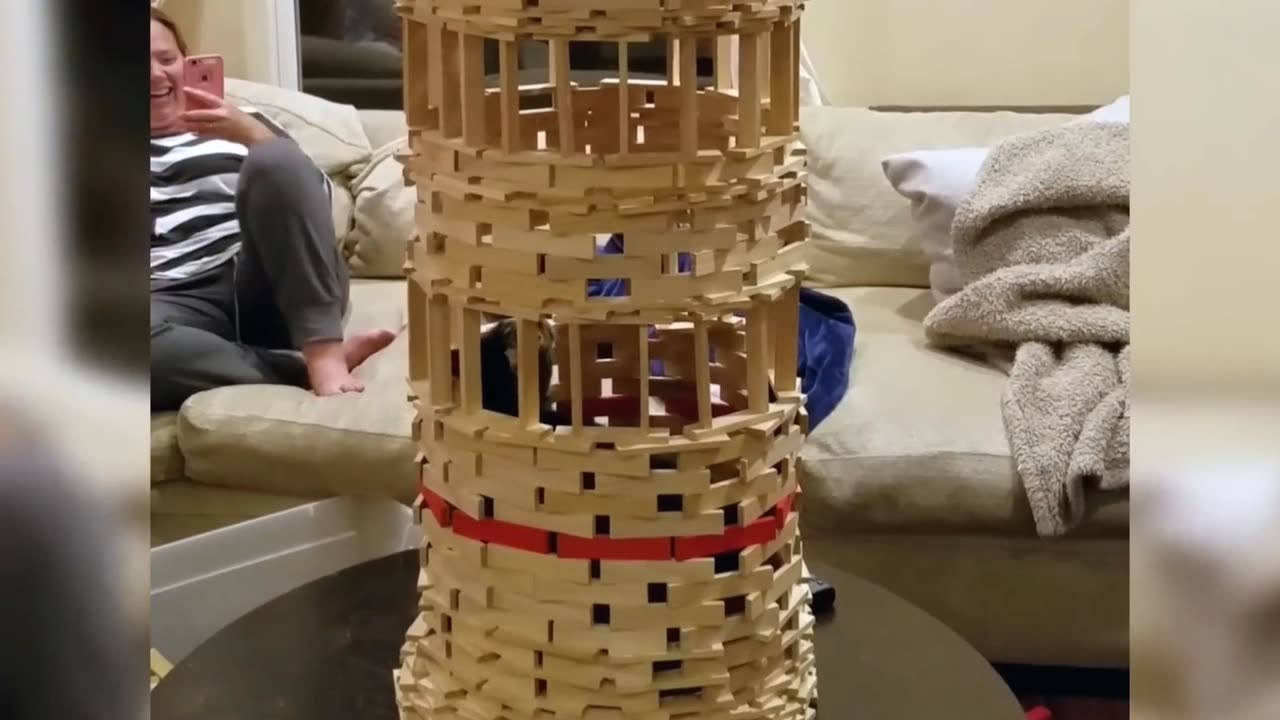 "These Cats Are Funnier Than Comedians – Try Not to Laugh!"