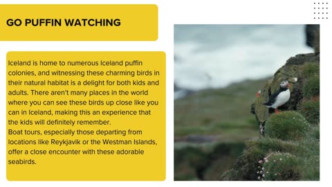 Top Things To Do in Iceland With Kids: Best Advice
