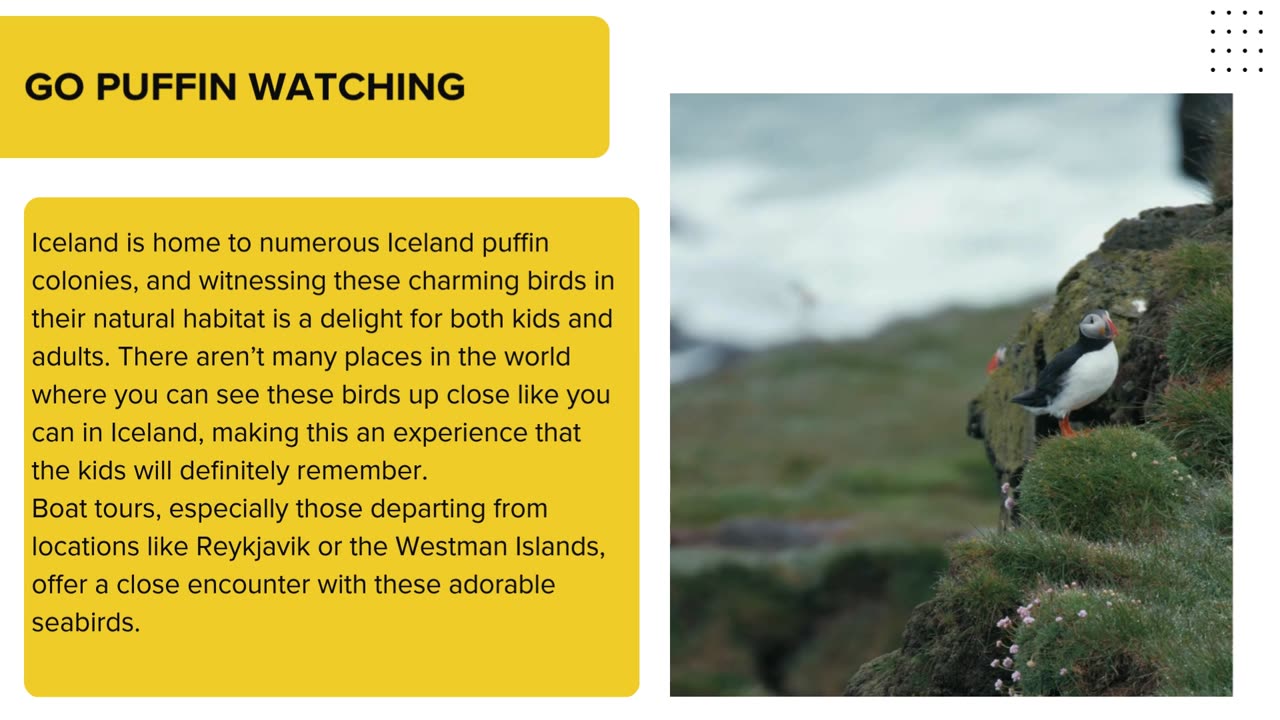 Top Things To Do in Iceland With Kids: Best Advice
