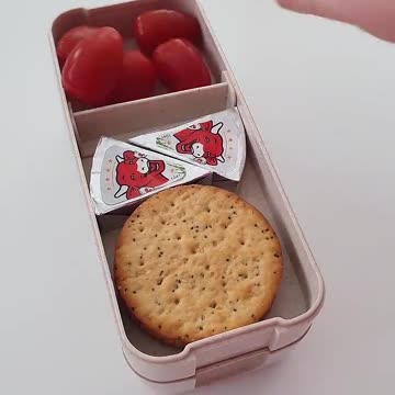 Pack lunch with me _asmr _lunch _lunchbox _shorts _food _lifestyle _bento _foodie _satisfying