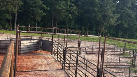 Dealer Spotlight: Morgan Livestock Equipment