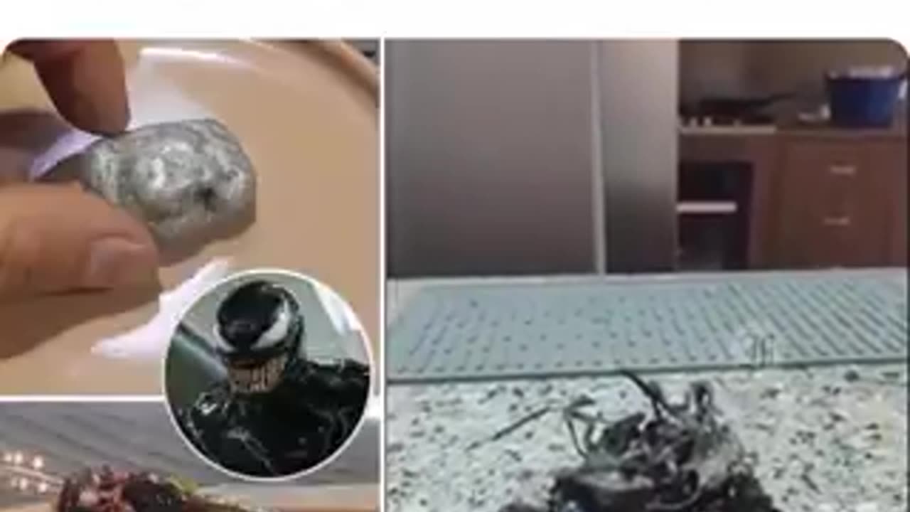 Venom Meotorite found in Panama is growing and moving!