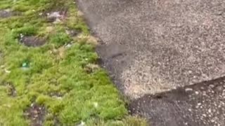 Dear President Trump, I have a message for you on behalf of the American People.