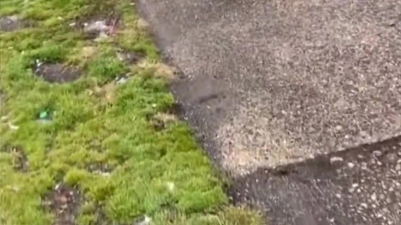 Dear President Trump, I have a message for you on behalf of the American People.