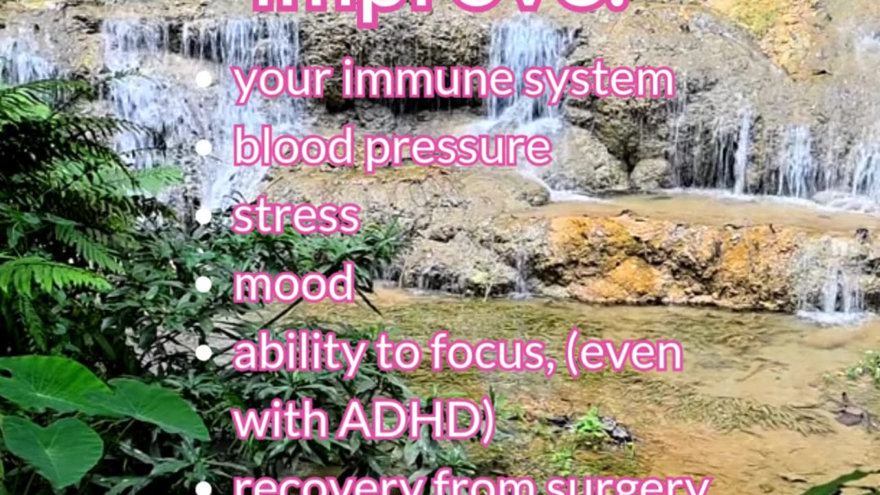 🎄🌳 Forests Make Us Healthier 🤩