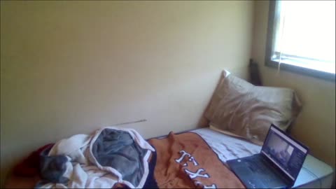 Smokeys Room