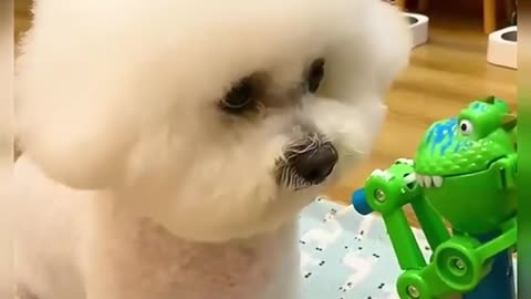 😆😆😆It doesn't want to eat