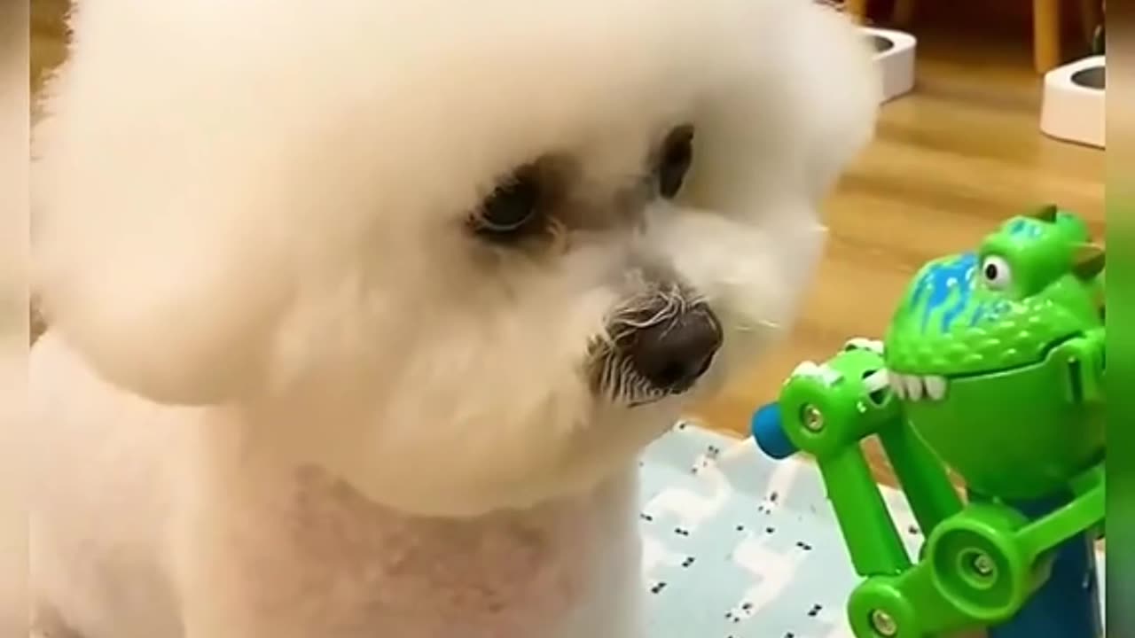 😆😆😆It doesn't want to eat