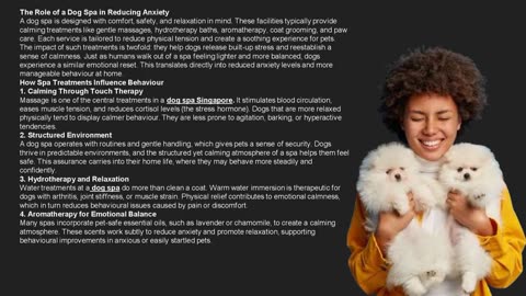 How Dog Spa Days Improve Behaviour and Reduce Anxiety in Pets-The Pets Workshop