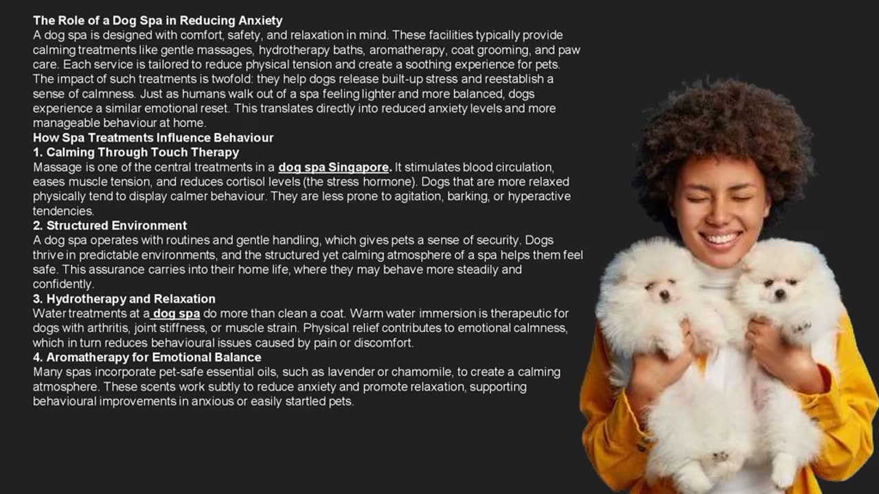 How Dog Spa Days Improve Behaviour and Reduce Anxiety in Pets-The Pets Workshop